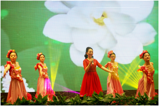 虎豹集團2016年年會 虎豹集團2016年年會